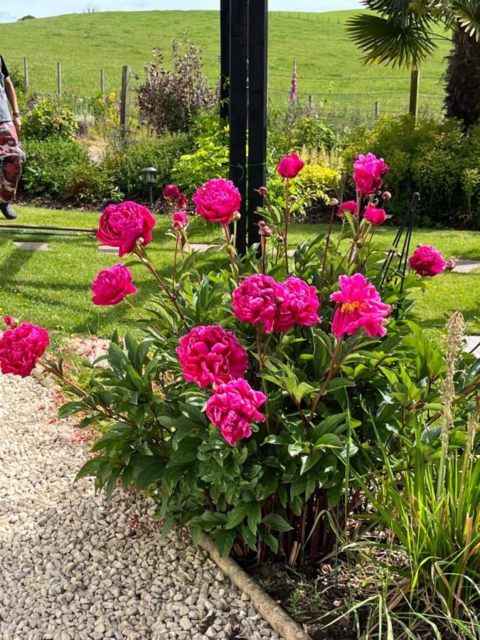Retreat At The Knowe Auchincruive Estate Bed and Breakfast Ayr Eksteriør billede