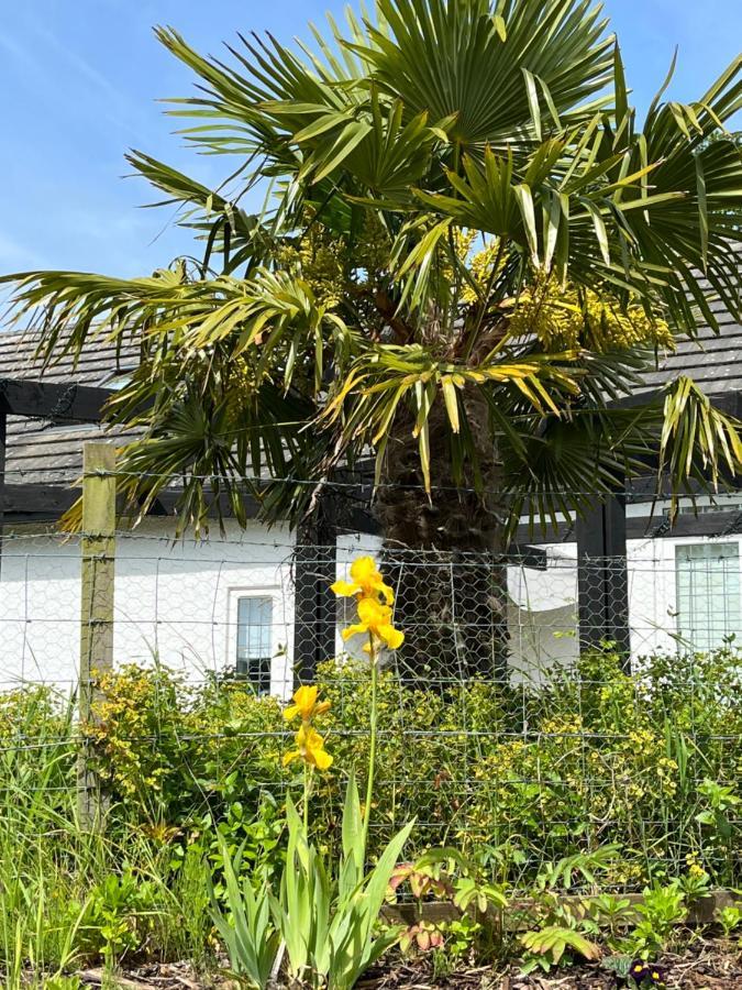 Retreat At The Knowe Auchincruive Estate Bed and Breakfast Ayr Eksteriør billede