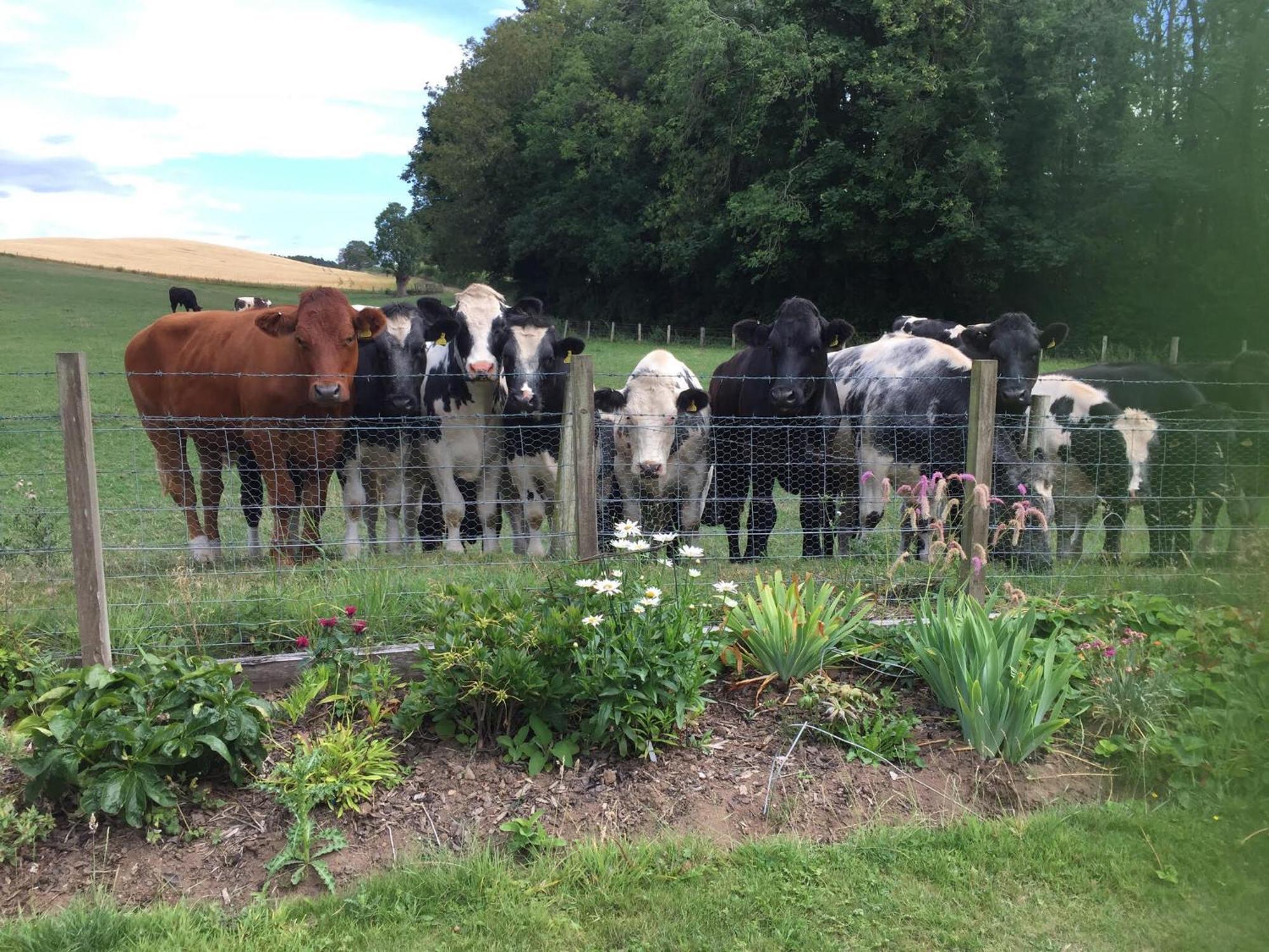 Retreat At The Knowe Auchincruive Estate Bed and Breakfast Ayr Eksteriør billede