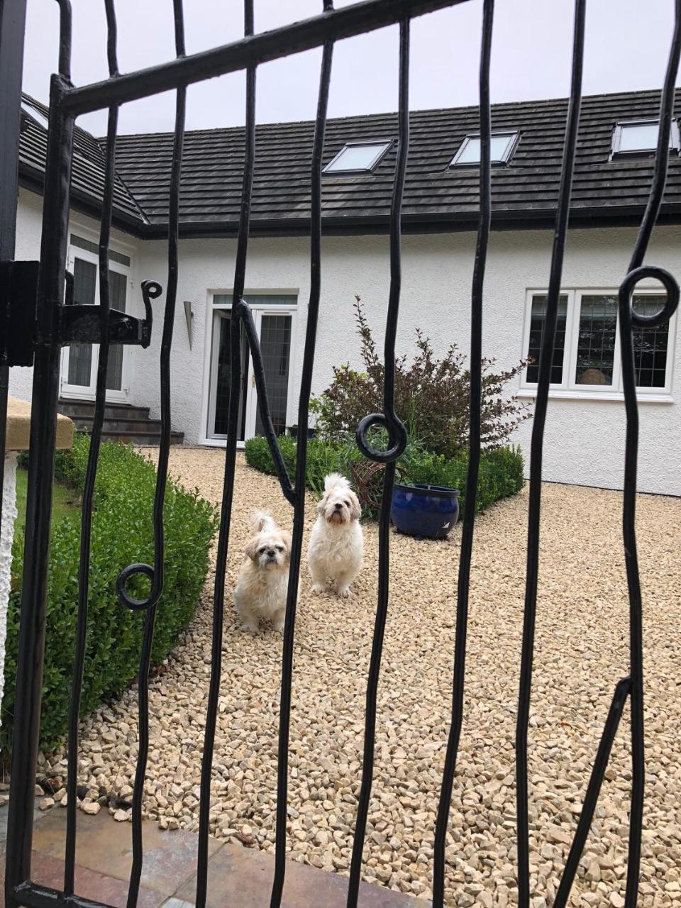 Retreat At The Knowe Auchincruive Estate Bed and Breakfast Ayr Eksteriør billede