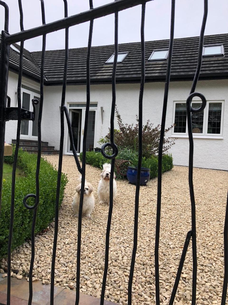 Retreat At The Knowe Auchincruive Estate Bed and Breakfast Ayr Eksteriør billede