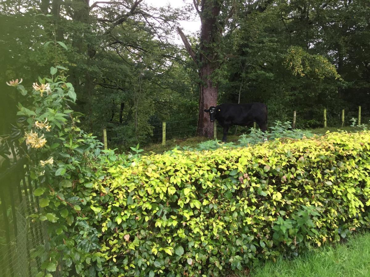 Retreat At The Knowe Auchincruive Estate Bed and Breakfast Ayr Eksteriør billede